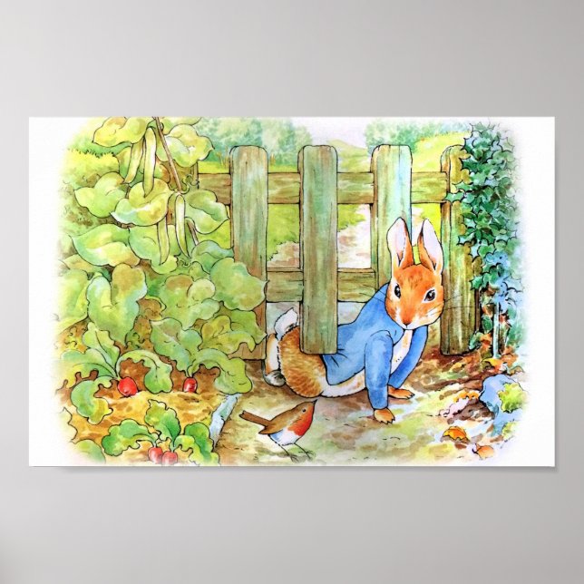 Peter the Rabbit Sneaking into Mc Gregor's Vegie G Poster (Front)