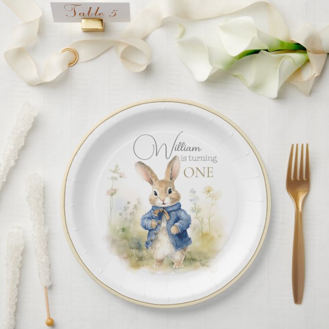 Peter The Rabbit Watercolor Birthday Paper Plate (Wedding)