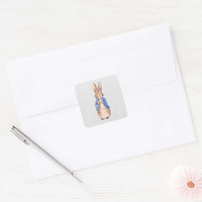Peter with a Gray Linen background Square Sticker (Envelope)