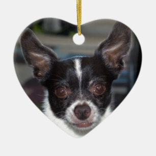 Petey the Chihuahua Ceramic Ornament
