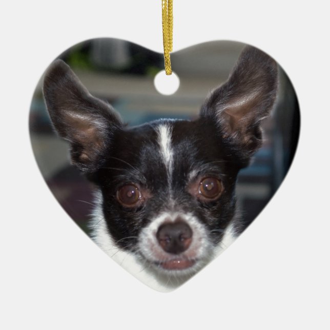 Petey the Chihuahua Ceramic Ornament (Front)