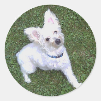 Petey The Pom-A-Poo Sticker