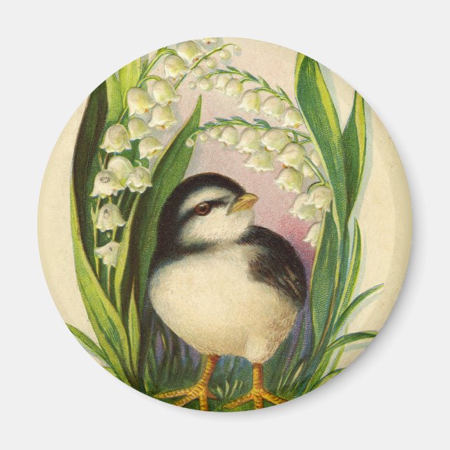 Petit aimant vintage Little Bird (Devant)