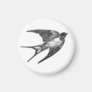 Petit aimant vintage Swallow