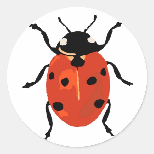 Petit autocollant Ladybird (Devant)