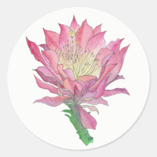 Petit autocollant rond de fleur rose de cactus
