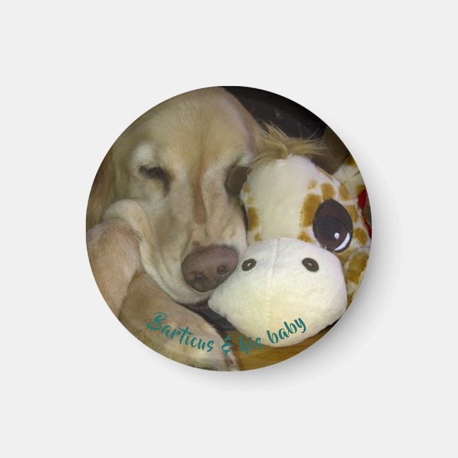 Petit, Barticus rond et aimant de girafe (Devant)