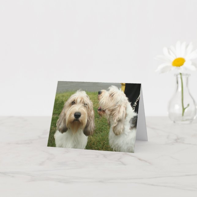 Petit Basette Griffon Vendeen Blank Card (Small Plant)