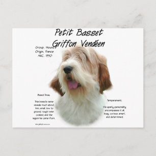 Petit Basset Griffon Vendeen History Design Postcard