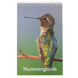 Petit calendrier de colibri