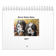 Petit calendrier des bébés 2017 de nation de