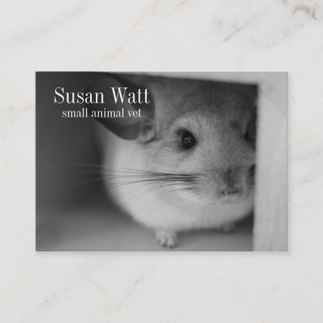 Petit carte de visite animal de vétérinaire (Devant)