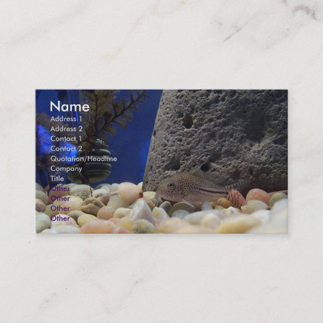 Petit carte de visite de poissons (Devant)