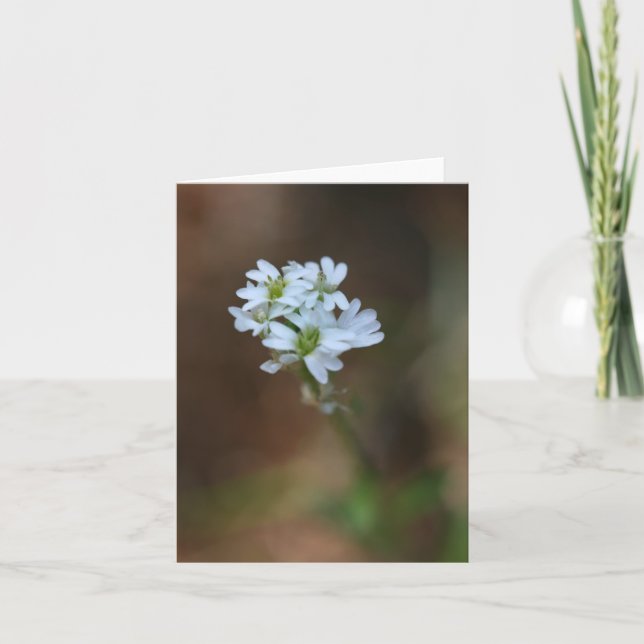 Petit Carte pour notes de fleurs blanches (Devant)
