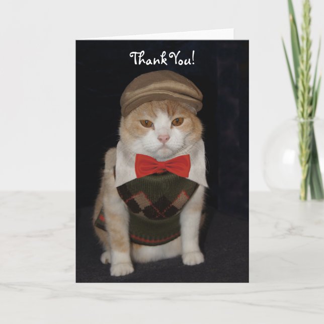 Petit chat Gentleman en Merci de  de Jacquard (Devant)
