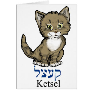 petit chaton mignon "ketsel" dans Yiddish