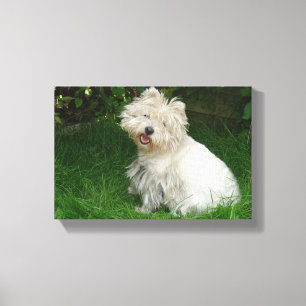 Petit chien blanc sur toile