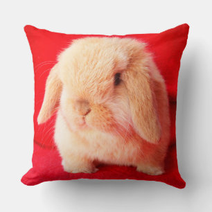 Petit Coussin Bunny