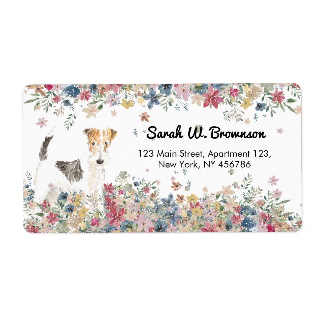 Petit fil Haired Fox Terrier Chien (Devant)