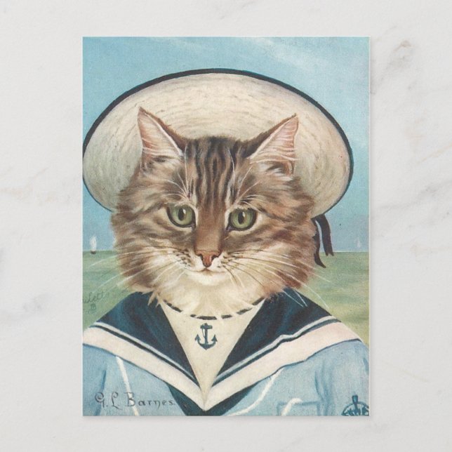 Petit garçon mer chat postcard (Front)