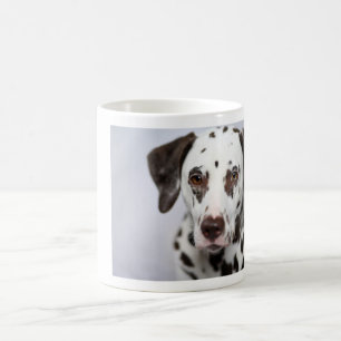 Petit gâteau, la tasse de café dalmatienne