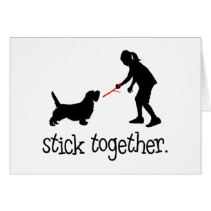 Petit griffon Vendeen de basset