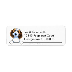 Petit griffon Vendeen de basset propre et simple