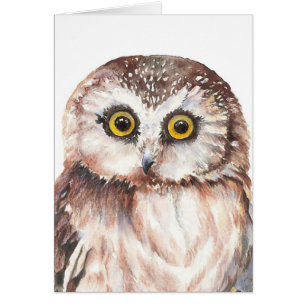 Petit hibou, blanc - collection d'oiseau