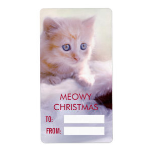 Petit Kitten reposant sur un chapeau de Noël Meowy