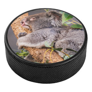 Petit koala doux