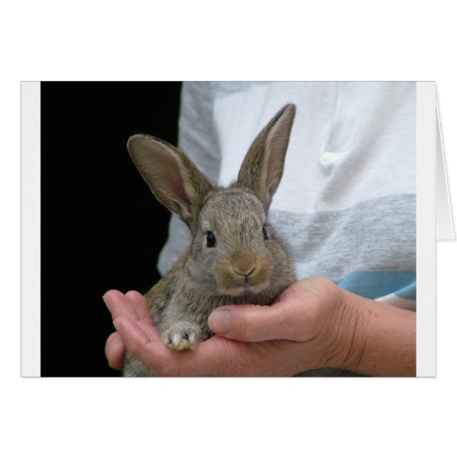 petit lapin doux (Devant horizontal)