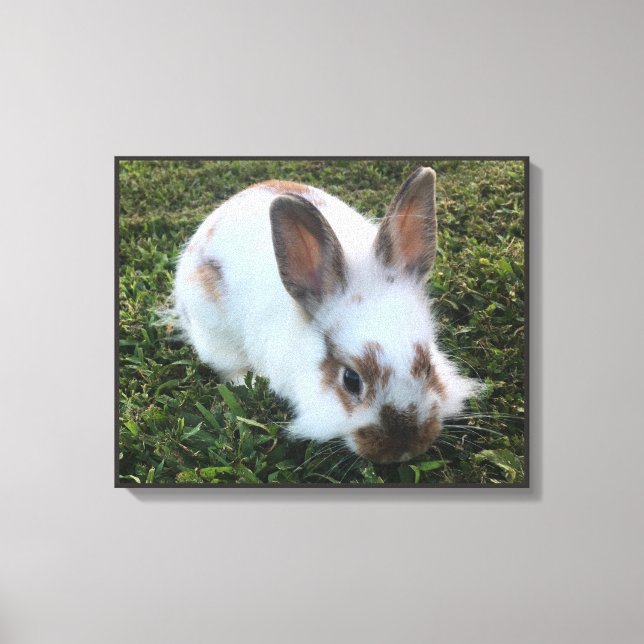 Petit lapin mignon dans la toile d'herbe Imprimer (Recto)