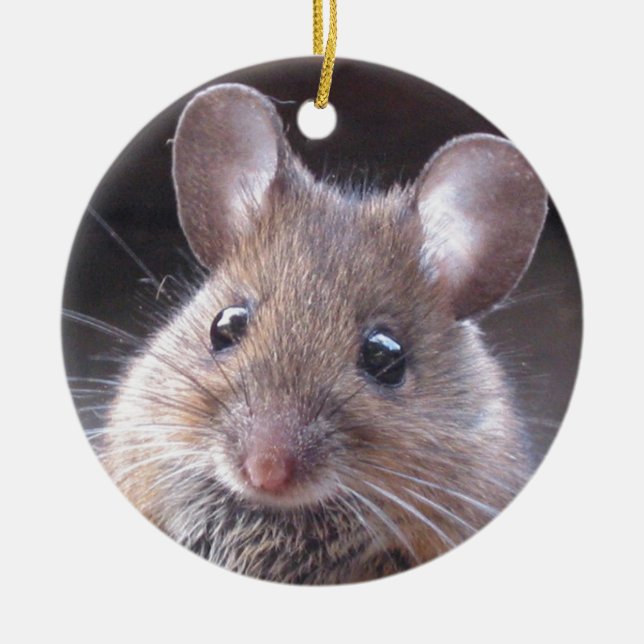 Petit ornement de souris (Devant)