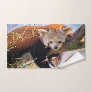 Petit panda rouge pâle