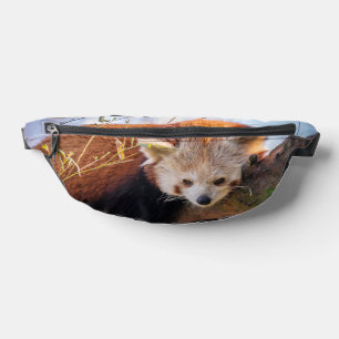 Petit panda rouge pâle