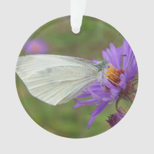 Petit papillon de blanc de chou