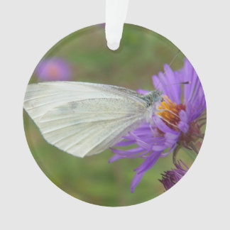 Petit papillon de blanc de chou