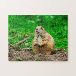 Petit puzzle de chien de prairie à queue noire