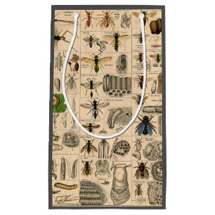 Petit Sac Cadeau Abeille Insecte Bug Wasp Histoire naturelle abeill