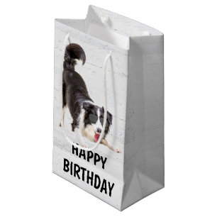 Petit Sac Cadeau Anniversaire Frontière Collie avec lunettes de sol