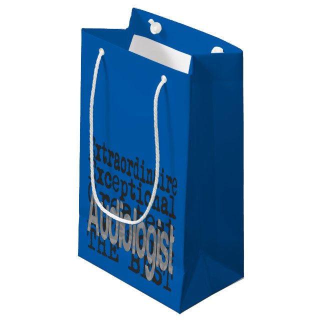 Petit Sac Cadeau Audiologiste Extraordinaire (Devant Angle)