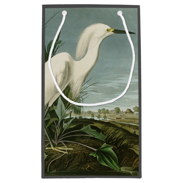 Petit Sac Cadeau Audubon Héron de neige Oiseaux d'aigrettes blanche (Dos)