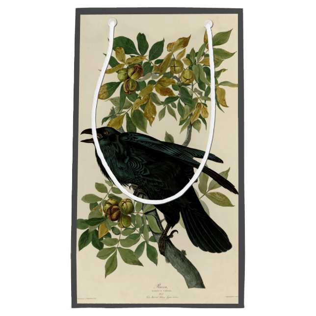 Petit Sac Cadeau Audubon Raven Oiseau classique (Devant)
