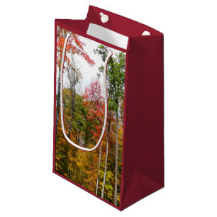 Petit Sac Cadeau Automne dans la forêt Colorée Photographie d'autom