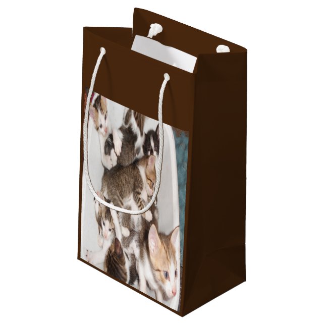 Petit Sac Cadeau Cadeau Amoureux des chats (Dos Angle)