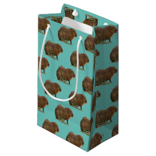 Petit Sac Cadeau Capybara