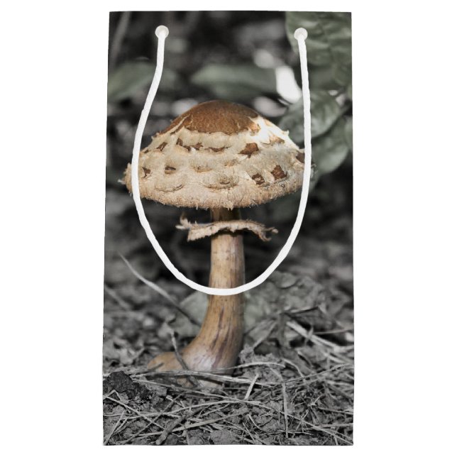 Petit Sac Cadeau Champignon sauvage (champignon) (Devant)