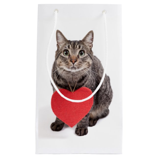 Petit Sac Cadeau Chat Love (Devant)