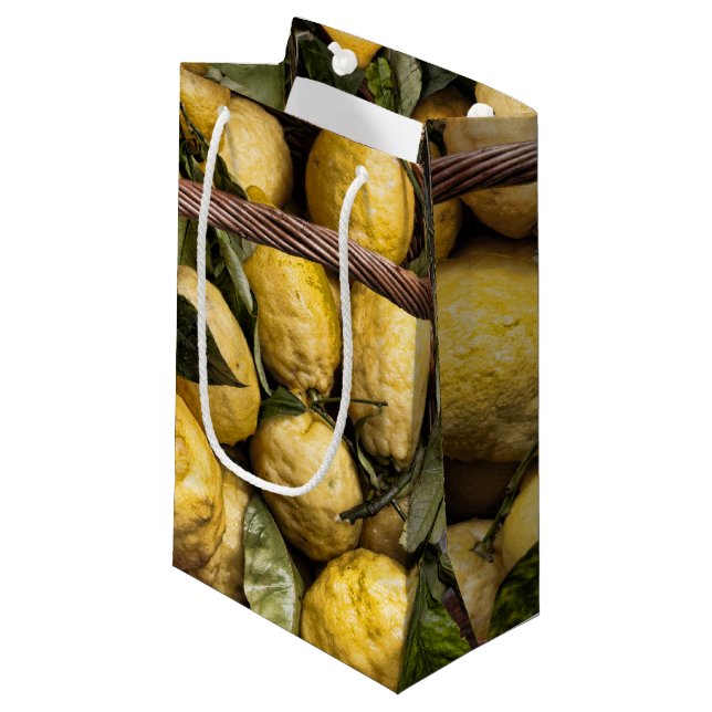 Petit Sac Cadeau Citrons italiens dans un panier (Devant Angle)
