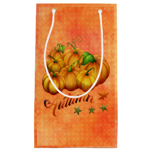 Petit Sac Cadeau Citrouille orange
